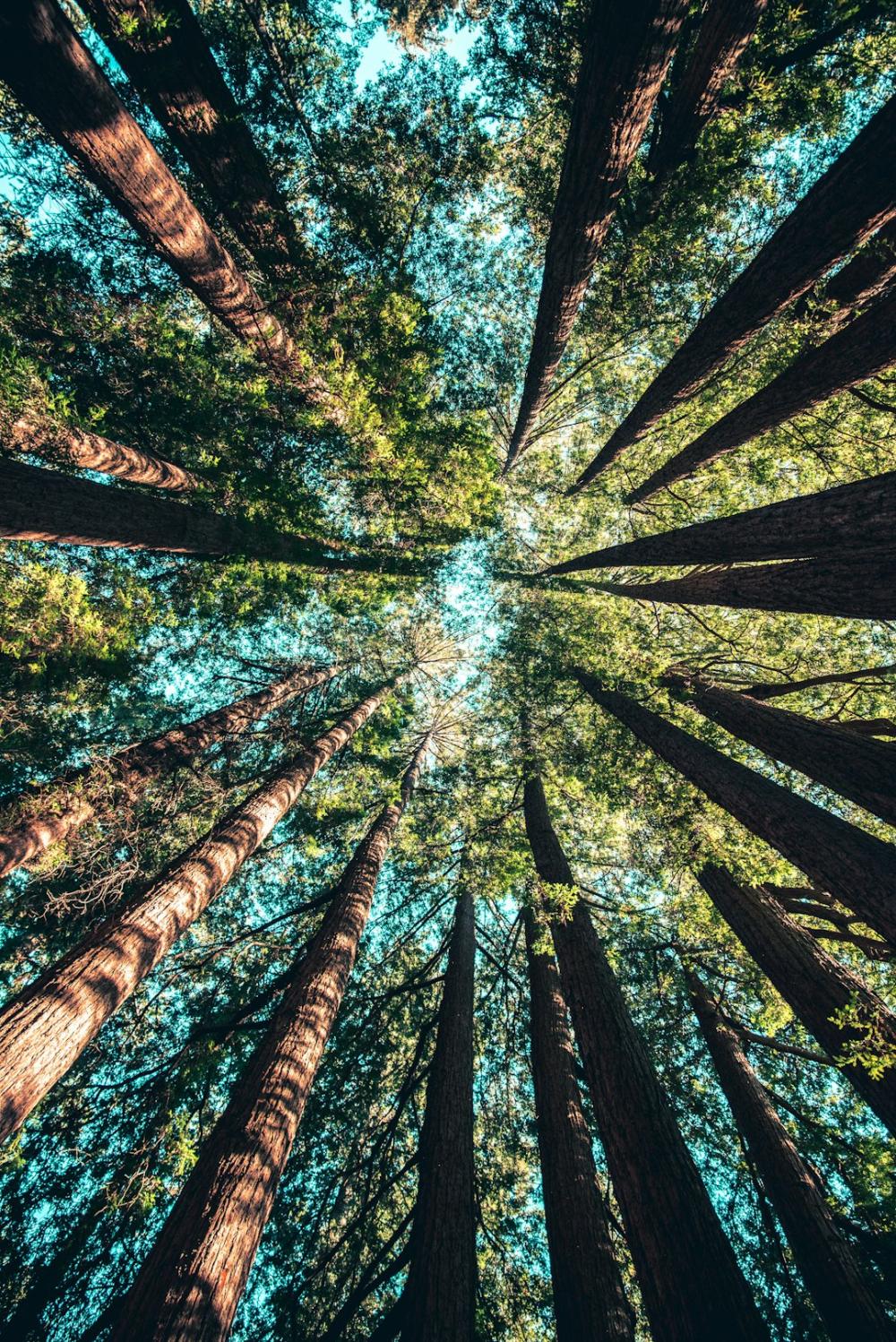 Inertia image. © Pexels